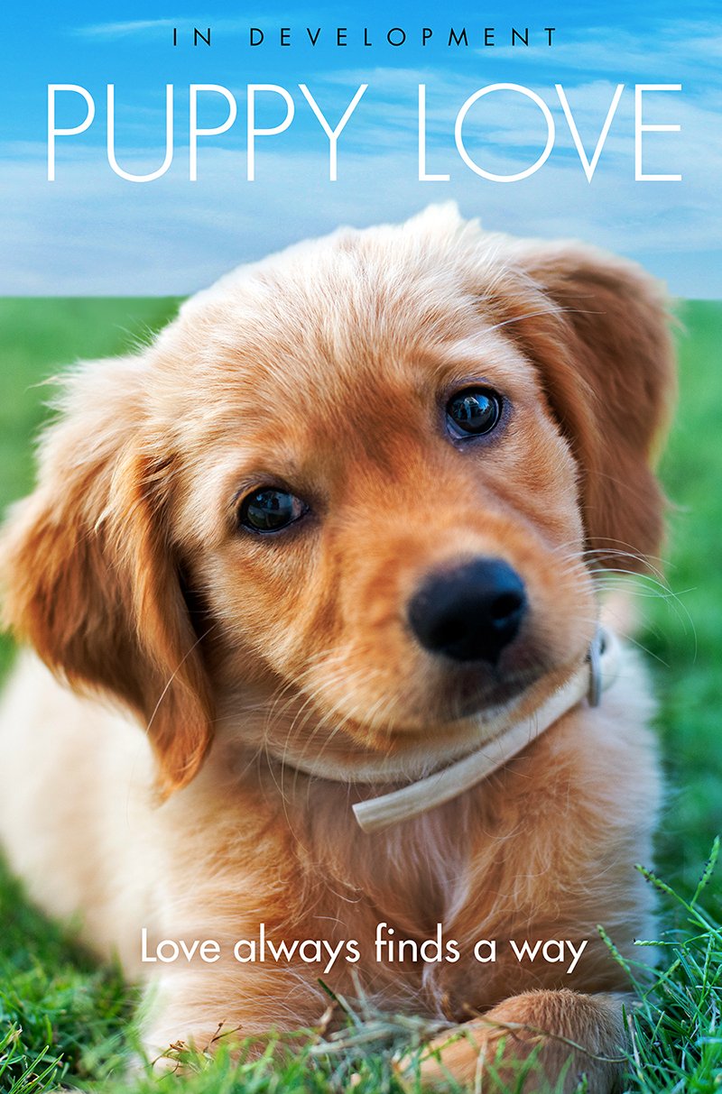 Puppy Love project poster