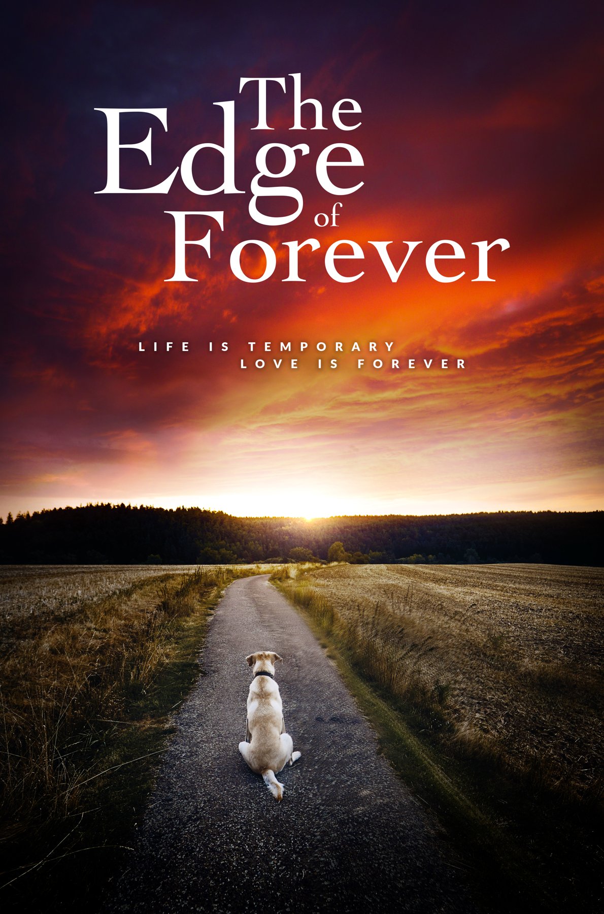 The Edge of Forever project poster